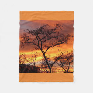 Tree Dad Nature Landscapes Sky Destiny Destiny'S Fleece Blanket