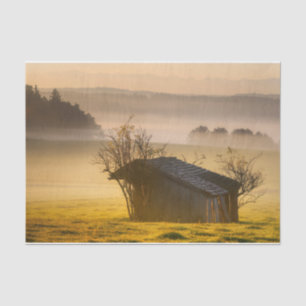 Tree Decorated Cabin in the Morning Mist Tissue Paper