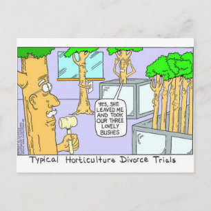 Tree Divorce: Funny Gifts Tees & Collectibles Postcard