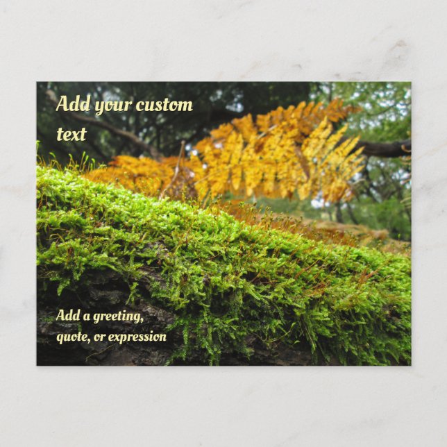 Tree Draped in Autumn Moss - Personalized Postcard (Front)
