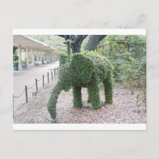 Tree Elephant Postcard