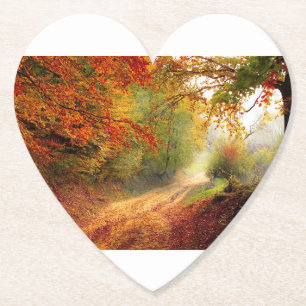 Tree Fall Nature Landscapes Sky Destiny Destiny'S Paper Coaster
