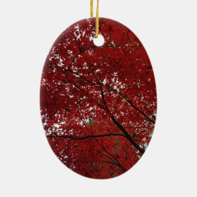 Tree Fall Season Red Brown Autumn Leaves Ceramic Ornament (Back)