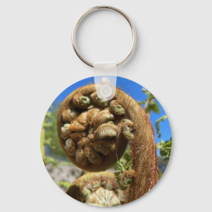 Tree Fern Frond  Key Ring