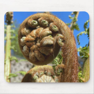 Tree Fern Frond   Mouse Pad