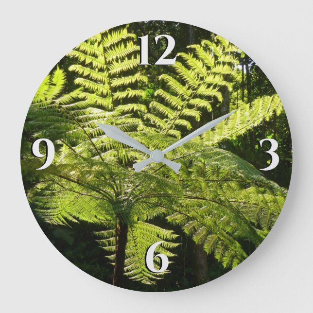Tree Fern in the Rainforest Large Clock (Front)