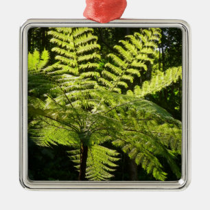 Tree Fern in the Rainforest Metal Ornament