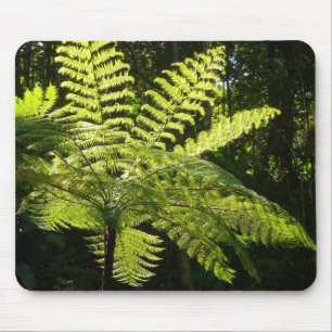 Tree Fern in the Rainforest Mouse Pad