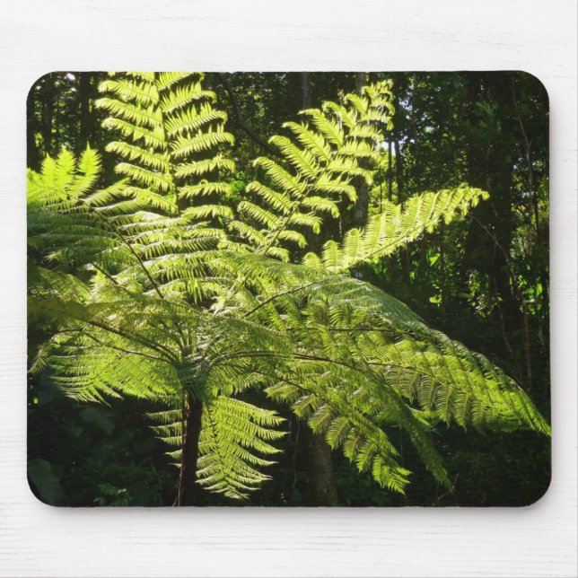Tree Fern in the Rainforest Mouse Pad (Front)