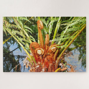 Tree fern new growth, Dandenong Ranges, Australia  Jigsaw Puzzle