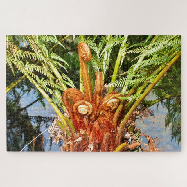 Tree fern new growth, Dandenong Ranges, Australia  Jigsaw Puzzle (Horizontal)
