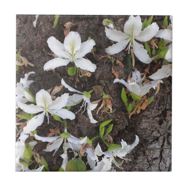 Tree flowers ceramic tile (Front)