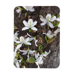 Tree flowers magnet