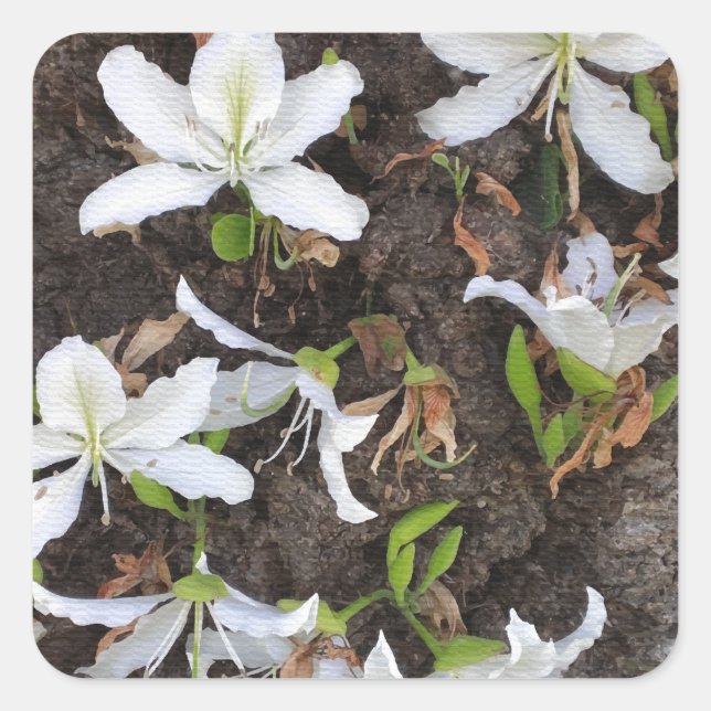 Tree flowers square sticker (Front)