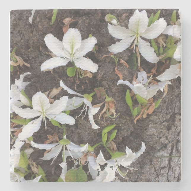 Tree flowers stone coaster (Front)