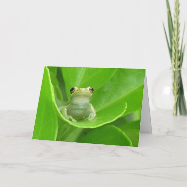 Tree Frog Birthday Card (Front)