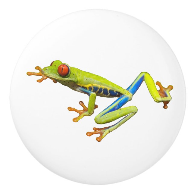 Tree Frog Ceramic Knob (Front)