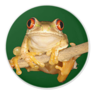 Tree Frog Ceramic Knob