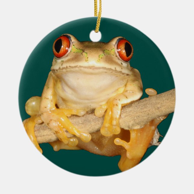 Tree Frog Ceramic Ornament (Front)
