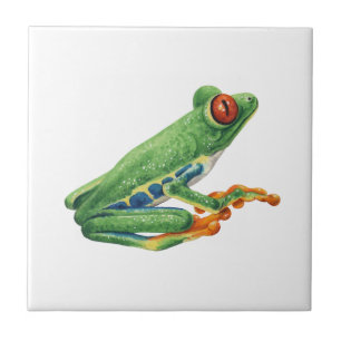 Tree frog ceramic tile