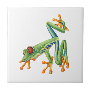 Tree frog ceramic tile