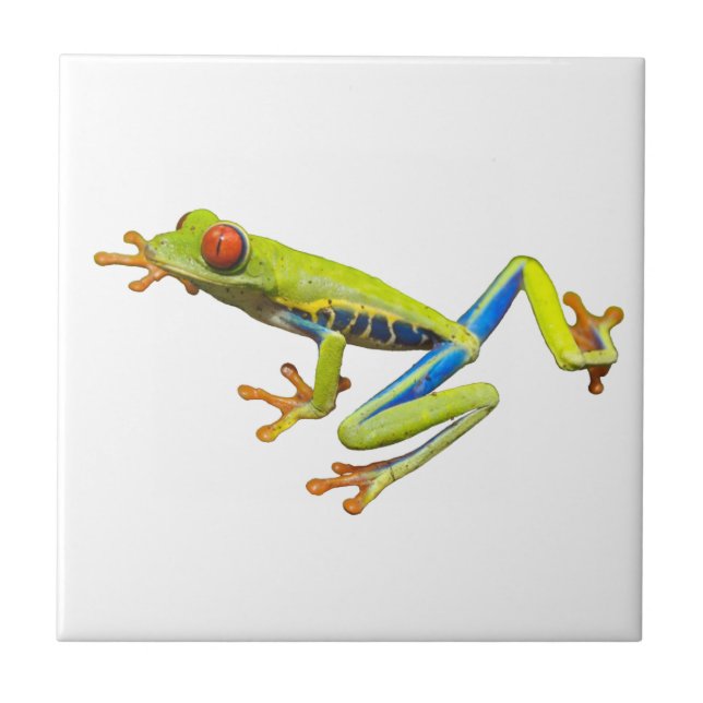 Tree Frog Ceramic Tile (Front)