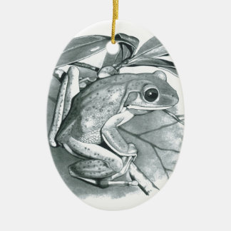 Tree Frog Ceramic Tree Decoration