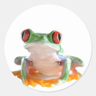 tree frog classic round sticker