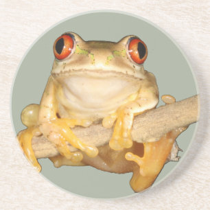 Tree Frog Coaster