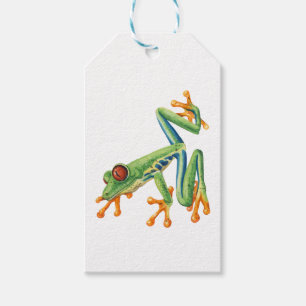 Tree frog gift tags