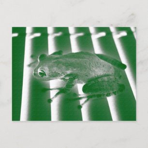 tree frog looking left green sketch animal design postcard