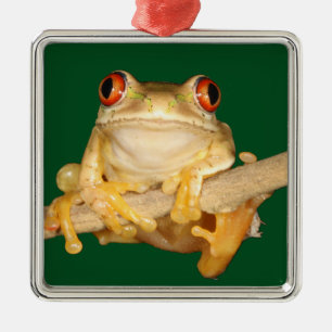 Tree Frog Metal Ornament