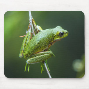 Tree Frog Mouse Pad