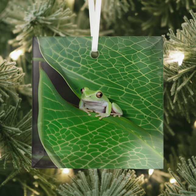 Tree Frog On A Leaf Glass Tree Decoration (Insitu)