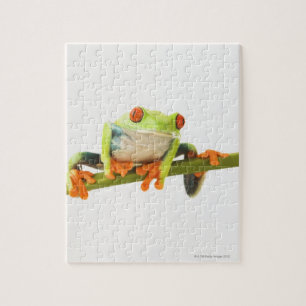 Tree frog on stem jigsaw puzzle