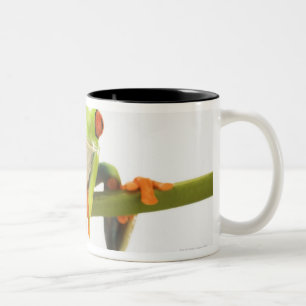 Tree frog on stem Two-Tone coffee mug