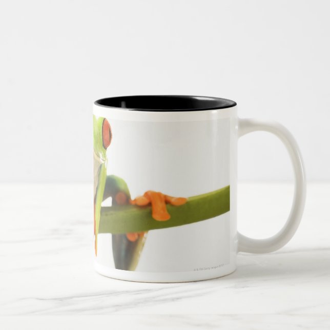 Tree frog on stem Two-Tone coffee mug (Right)
