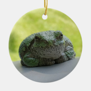 Tree frog ornament