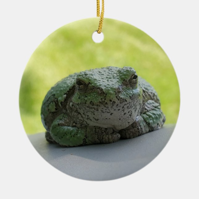 Tree frog ornament (Front)