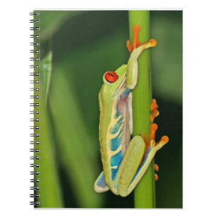 Tree Frog Photo Notebook