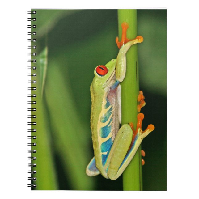 Tree Frog Photo Notebook (Front)