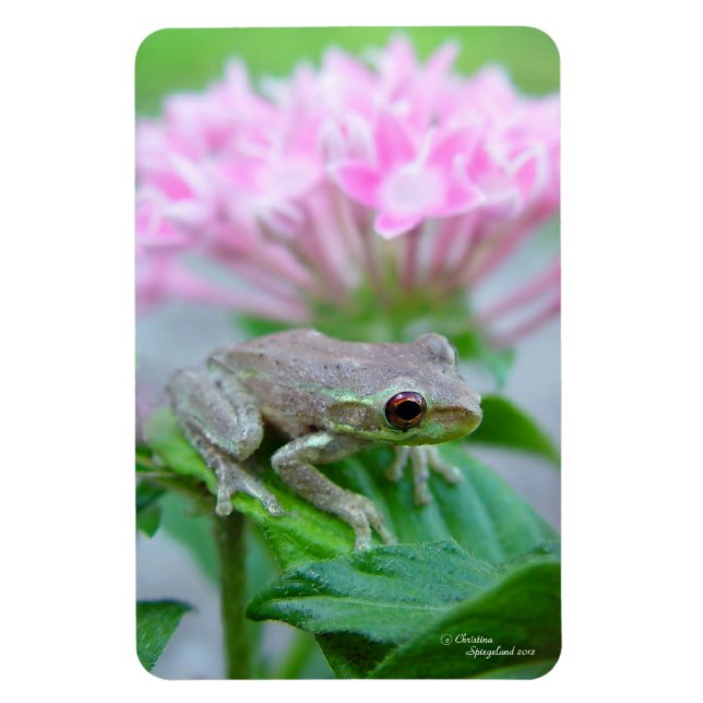 Tree frog Pink flowers Flexi Magnet (Vertical)