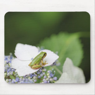 Tree Frog Sitting on a Hydrangea, Hyogo Mouse Pad