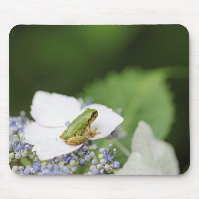 Tree Frog Sitting on a Hydrangea, Hyogo Mouse Pad (Front)