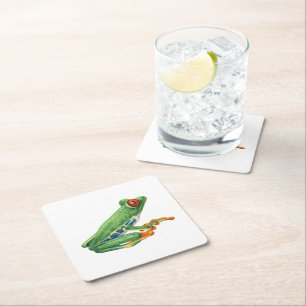 Tree frog square paper coaster