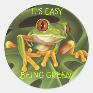 Tree Frog Sticker