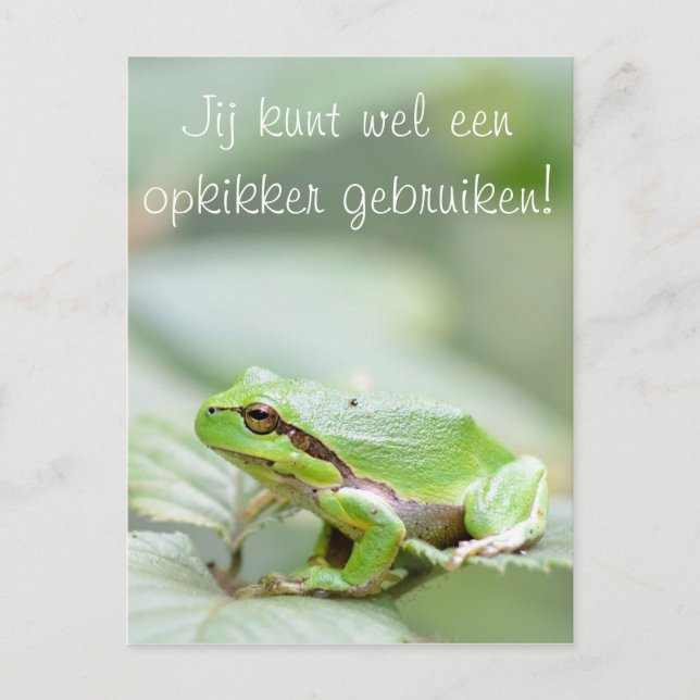 Tree frog with the text 'Opkikker' postcard (Front)