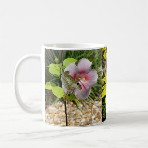 Tree frogs Hibiscus flowers Mug