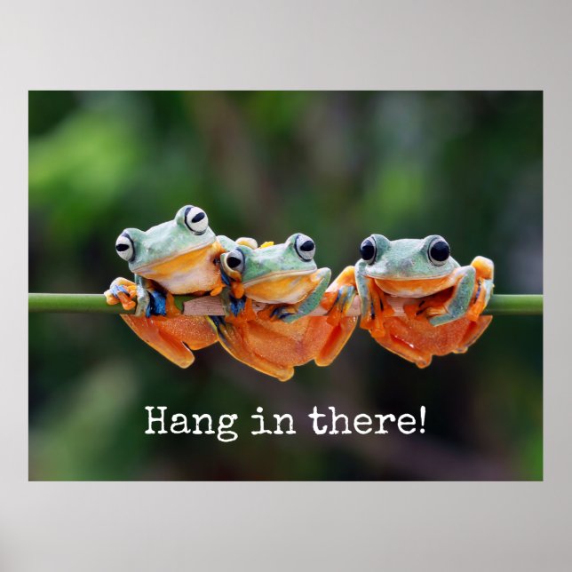 Tree Frogs Trio - Hang in There Poster (Front)