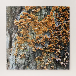 tree fungi jigsaw puzzle